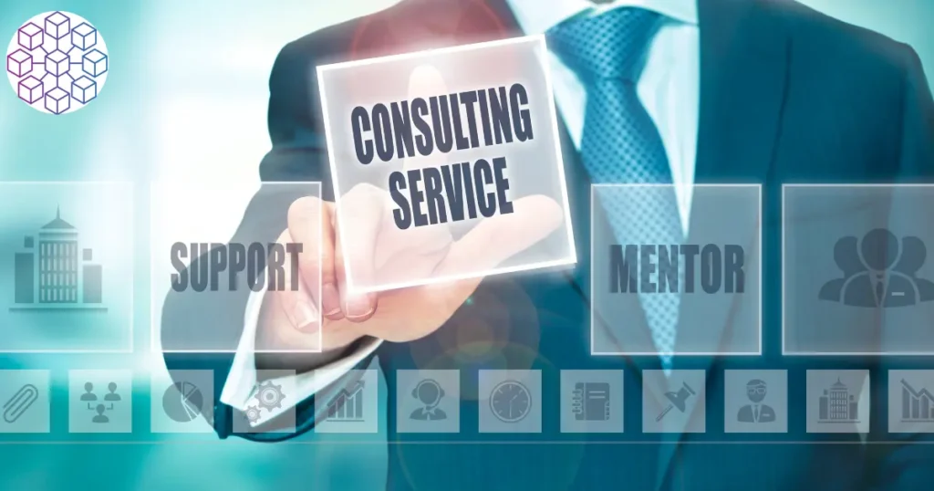 pedrovazpaulo business consultant